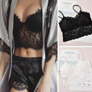 Sexy femmes sans manches cils dentelle Lingerie transparent rembourré gilet Crochet Push Up soutien-gorge débardeurs Bralette soutien-gorge Cami Crop To283W