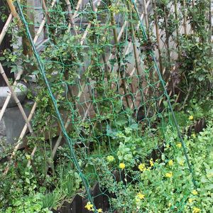 Schaduw planten klimnet net tuinieren netwerk planten ondersteuning groei houder tuin hek voor komkommer ochtend glorie petunia bloemen