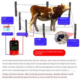 Shepherd Fence Animals Electric Energizer LCD Lader Hoogspanning Pulsregelaar Poultry Farm Electric Hek Alarmgereedschap