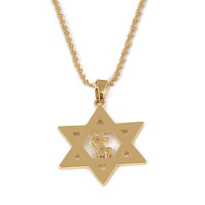 Shield Magen David Hexagram Six Point Star of David Ketting Amulet Religie Symbool Israël Bidden Handen Hanger Joodse Sieraden