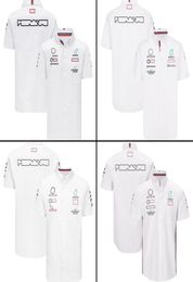 Camisas 2022 1 Team Driver Polo Shirt Summer Men039s Racing Fans Casual Camisa abotonada Motocross Jersey Car Logo Tops4682963