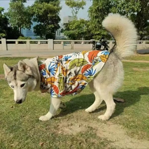 Chemises Big Dog Vêtements Summer grand chien Shirt Corgi Shiba inu Samoyed Husky Labrador Golden Retriever Dobermann Dog Clots Costumes