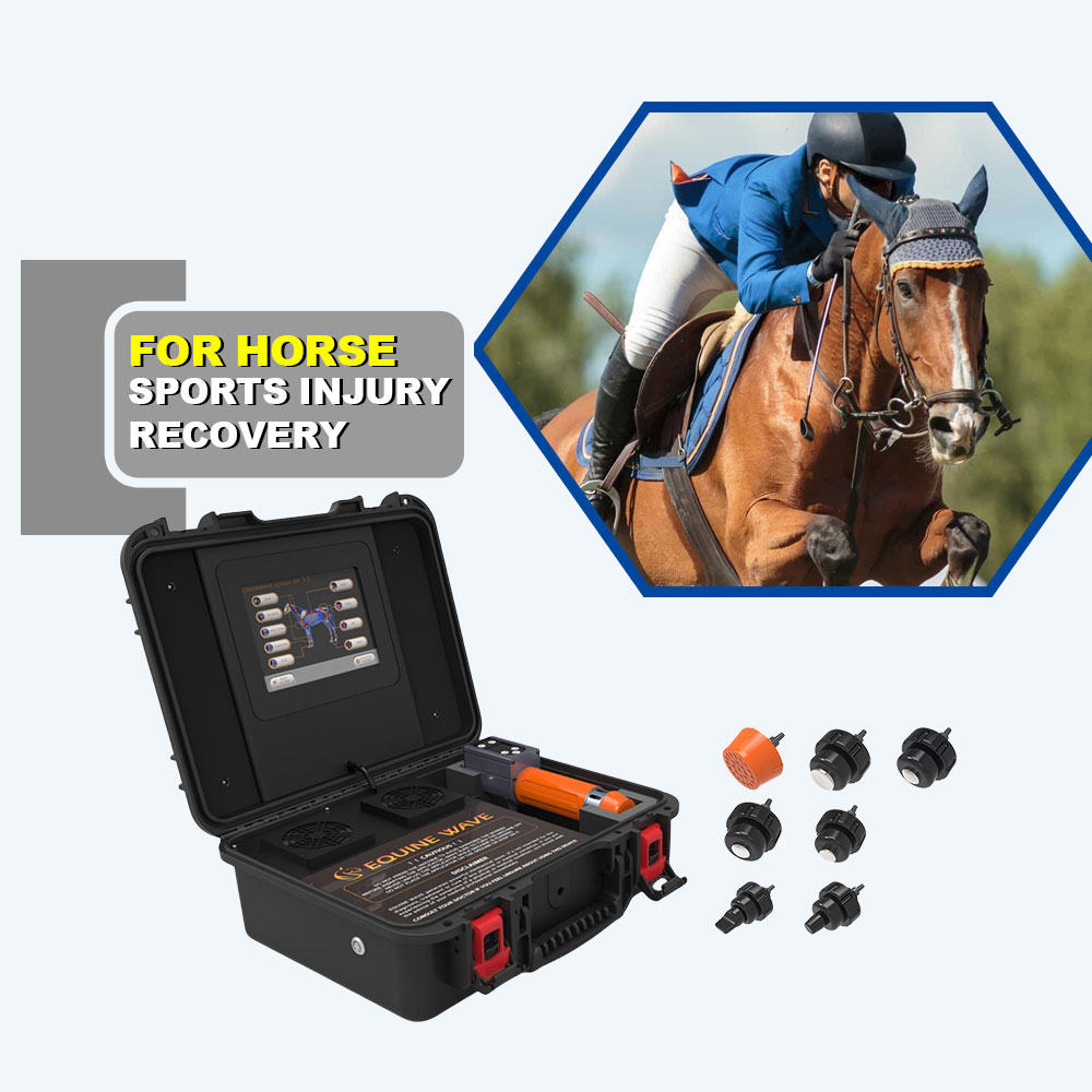 Shock Wave for Horse Veterinary Shockwave Pain Relief Equine Injure Rehabilitaion Professional Racecourse Use Physiotherapy Machine