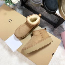 Bottes de neige de créateurs Australie Mini plate-forme Boot Femmes Tazz Pantoufles Tasman Slip-on Slides Hiver Chaud Booties Laine Daim Fourrure Peau De Mouton Chaussures Bottines Taille 35-44