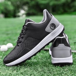 Chaussures Nouvelles chaussures de golf professionnelles Men de golf imperméable porte pour hommes à grande taille 4047 chaussures de marche golfeurs sport baskets