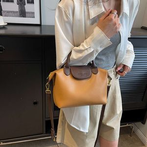 Sac à bandoulière de grande capacité pour femmes, sac à main bon marché d'exportation, nouveau et tendance, couleur à la mode, épaule simple, boulette, 2024