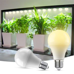 SHOPLED Bombillas de Cultivo, Bombilla LED de Espectro Completo A19, Bombilla de Planta de 9 W Equivalente a 100 W, Base E26, 110 V 120 V, para Plantas de Interior, Invernadero, Plántulas, Blanco Cálido