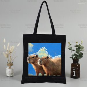 Sacs à provisions mignon Capybara dessin animé Kawaii sacs à main tissu toile fourre-tout voyage femmes réutilisable épaule Shopper Bolsas De Tela
