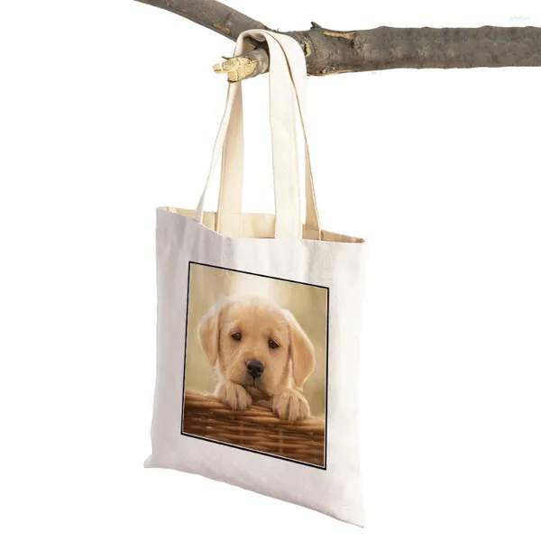 Sacs à provisions Double imprimer Labrador Retriever Shopper Sac Canvas Tote Handbag réutilisable Animal de compagnie mignon Animal décontracté pour femmes