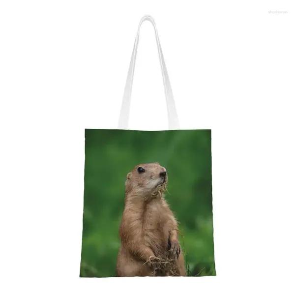 Sacs à provisions Prairie Dogs épicerie fourre-tout femmes personnalisé je n'ai pas creusé le jardin toile épaule Shopper grands sacs à main