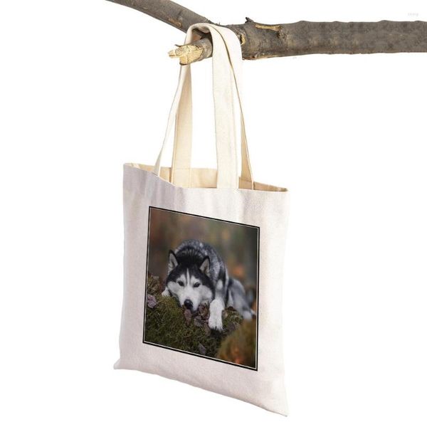 Bolsos de compras con diseño de perro Husky siberiano, bolso de compras de lona, bolso de mano reutilizable con estampado doble de animales para mascotas, bolso informal para mujer para supermercado