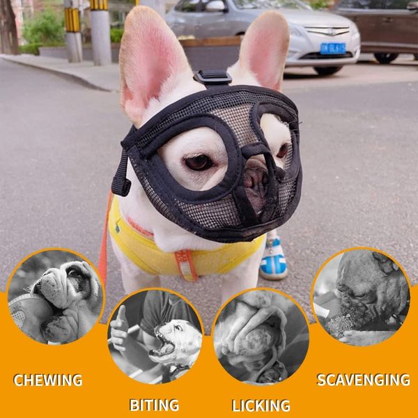 Muzer de chien de médonnage court Muzzle ajusté en maille respirante français bulldogue pug bouche bouche masque anti-arrêt