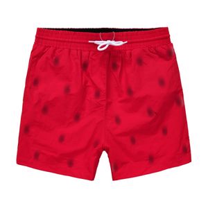 Shorts 2024 Heren Zomer Zwemshorts Ralphs Oorlogspaard borduurwerk Ademend Strand Laurens Korte Polo Sneldrogende Surf Mesh stof kort