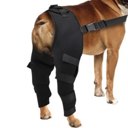 Shorts Boîte des jambes pour les jambes pour les jambes à dos ajusté pour chien de compagnie de chien Protecteur Protecteur PET DOG DORT DES LEGS ARRIÈRE POUR LES BLESSURES ET BLAISE