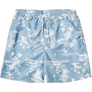 Shorts Heren Snel drogen losmaken Losse strandbroek S-6xl Maat Zomer Zomer Vakantie Vijf Point Casual Sports Hawaiian Shorts Trend