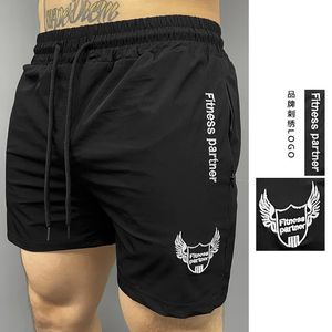 shorts pour hommes