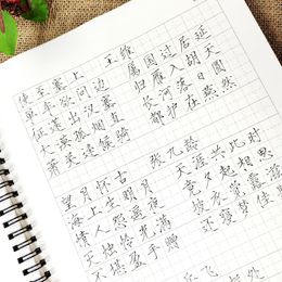 Shou Jin Ti Hard Pen Writing Copy Book Basic Strokes Vaak gebruikt Chinese karakter Copybook Feems Poems Calligraphy Copying