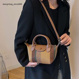 Schoudertas merk dames modieuze gestreepte handtas voor vrouwen nieuwe trend eenvoudige single schouder crossbody commutatie