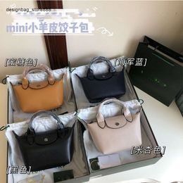 Sac à bandoulière de marque pour femmes, nouveau sac Longxiang petit Wang Ziwen du même Style, sac à main