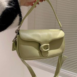 schoudertas designer handtas tassen zwart grijs crème handtassen mini tabby kussen 26cm portemonnees voor dames leer groen zwart