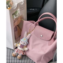 Bolso de hombro Diseñador de marca de moda Señoras Casual Dumpling Bolso de nailon Bolso cruzado Bolso de mano bordado doblado Bolso de compras Bolso de mamá 240229