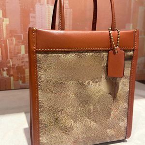Schoudertassen nieuwe tas Designer vrouwelijke Mini Tote Bag Viool spectrum Single Messenger klein vierkant
