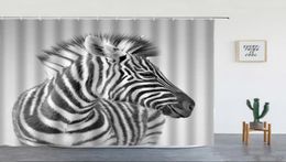 Rideaux de douche africain zèbre noir blanc rayé animal sauvage gris décoration de toile de fond en tissu polyester de salle de bain avec crochets2617344