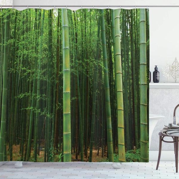 Rideaux de douche Rideau de bambou Image d'une forêt exotique Vision de jungle fraîche avec de hautes pousses Tropic Art Print Tissu
