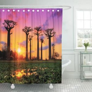 Rideaux de douche beaux arbres baobab au coucher du soleil L'avenue de rideau tissu polyester imperméable 60 x 72 pouces ensemble avec des crochets