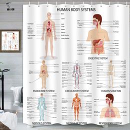 Douchegordijnen menselijk lichaam douchegordijn illustratie badkamer decor wetenschap menselijke anatomie douche gordijnen skelet schedel stof badkamer set 230523