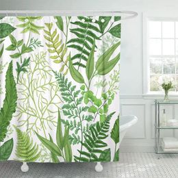 Curtains de douche Modèle de printemps vert feuillu vintage floral différentes fougères botaniques en polyester imperméable avec crochets