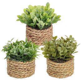 SIA – plantes artificielles vertes à fleurs, herbe d'eucalyptus tissée, petit monticule en pot de 11cm, matériau PE, décoration de la maison, 240322