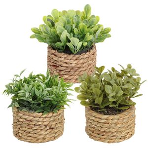 SIA Flower Green Plantes artificielles Eucalyptus Grass tissés petites plantes en pot Meste d'herbe 11 cm PE MATÉRIAUX DÉCORATION HOME 240408