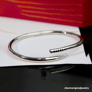 Zilveren armband nagelarmband Designer sieradenontwerpers Goudbunge voor vrouw heren roestvrijstalen manchetarmbanden goudboek armband belofte armbanden
