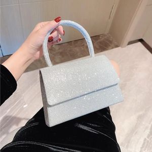 Sac de soirée en soie brillante argent pour femmes élégantes et à la mode.