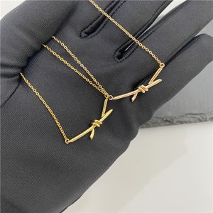 Zilveren ketting damesketting roestvrij staal paar hanger kettingen op de nek Valentijnsdag cadeau voor vriendin ontwerper sieraden accessoires