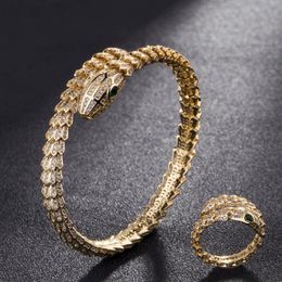 Couleur argent hommes bracelets serpent Animal bracelet anneau bijoux marque cubique Zircon amour bracelet Anel hommes anniversaire Jewelry299P