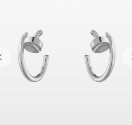 Zilveren oorbellen Stud mode etud oorbellen vrouw luxe multi -kleuren c letter sieraden 18k diamant bruiloft geschenken sieraden ontwerper nagel