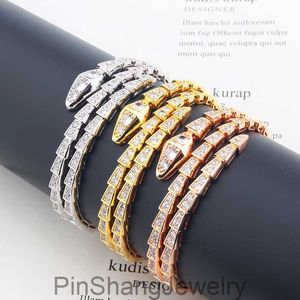 Bracelets de bracelets à serpent en diamant en or argenté pour femmes hommes charmez l'infini bracelets de manchette de tennis de luxe
