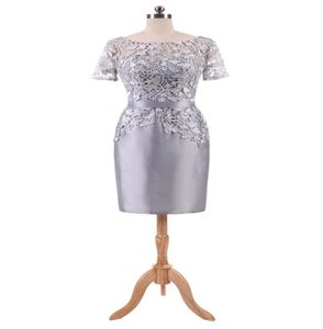 Silver Gray Short Party -jurken 2018 Nieuwe kanten top Korte mouwen Korte mouwen modecocktailjurk goedkope echte po in stock7977170