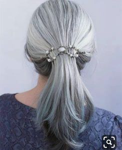 Clip de postiche de queue de cheval d'armure gris argenté à la mode nouveau look extension de cheveux de queue de cheval droite chignon chignon couleur gris nature