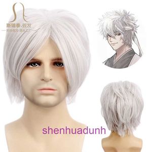 Silver Soul Cosplay Sakata Time Wig Halloween Korte heren grijs synthetisch