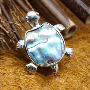 Colgantes de concha de Paua de tortuga bonita, diseño Simple, joyería inspirada en la playa, 5 piezas