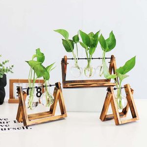 Eenvoudige moderne kleine verse vaas woonkamer decoratie ornament creatieve hydrocultuur groene plant transparante glazen container