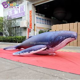 Gesimuleerd Ocean Theme Whale Air Model Decoration Mall Music Performance Air Float Interactive Factory Direct Supply