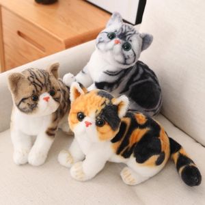 Simulatie American Shorthair Cat Plush Toy Gevulde levensecht Siamese katten dieren Doll speelgoed voor kinderen Pet Toys Decoratie LA505