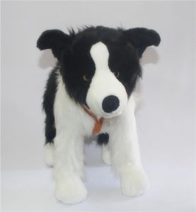 Simulatie dier hond knuffel border collie pop kleine hond knuffels cadeau pop verjaardagscadeau voor kinderen vrienden 47x34cm DY57269572