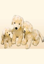 Simulation Animal Golden Retriever Toy en peluche Jouet Cute Doll Puppies Birthday Gift Decoration Soft Decoration 50cm Dy509906484769