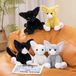 Simulation mignon Devon Rex chats en peluche poupée chat noir en peluche doux Kawaii chaton peluche animal de compagnie jouet décoration de chambre cadeau d'anniversaire 240202