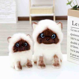 Simulation Kawaii 2026Cm Chat Siamois Câlin Bleu Paillettes Yeux Animaux Ragdoll Chats Décoration De La Maison Cadeau Mignon pour Enfants J220729